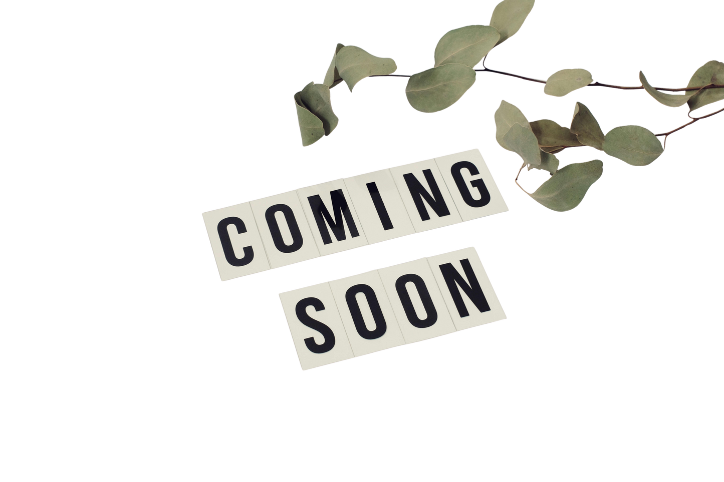 Fresh products on the way